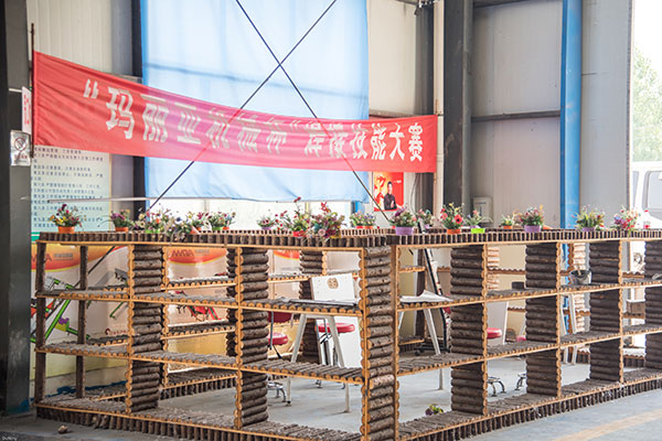  蒜米机价格