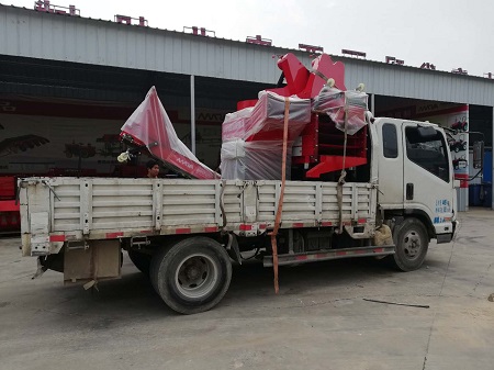 成人无玛WWW妖精视频在线观看