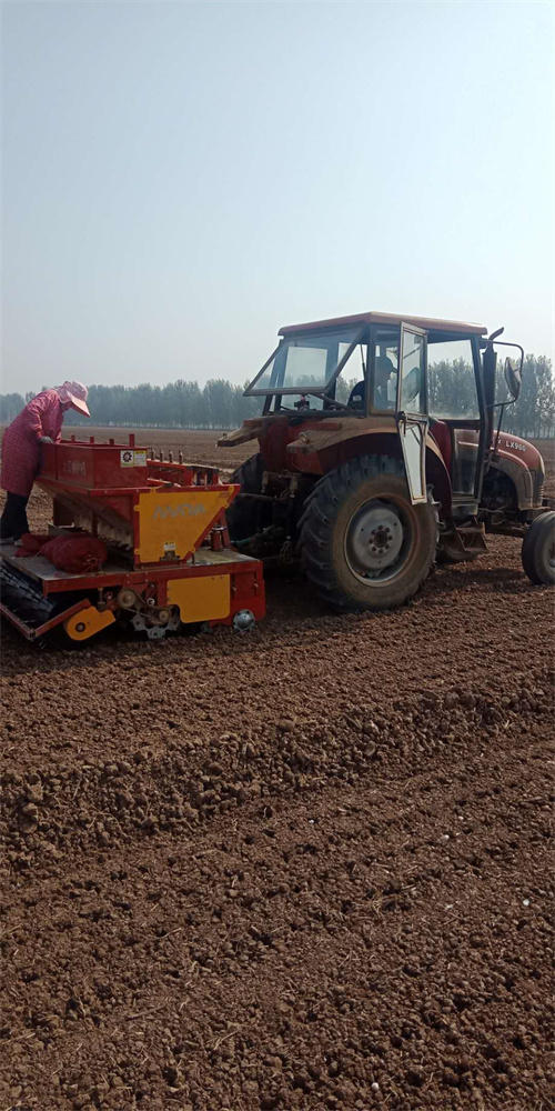 妖精视频污版种植