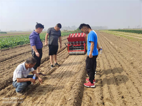 妖精视频污版种植